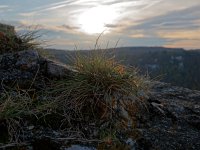 Auf einer der Mauern der Burgruine Reußenstein